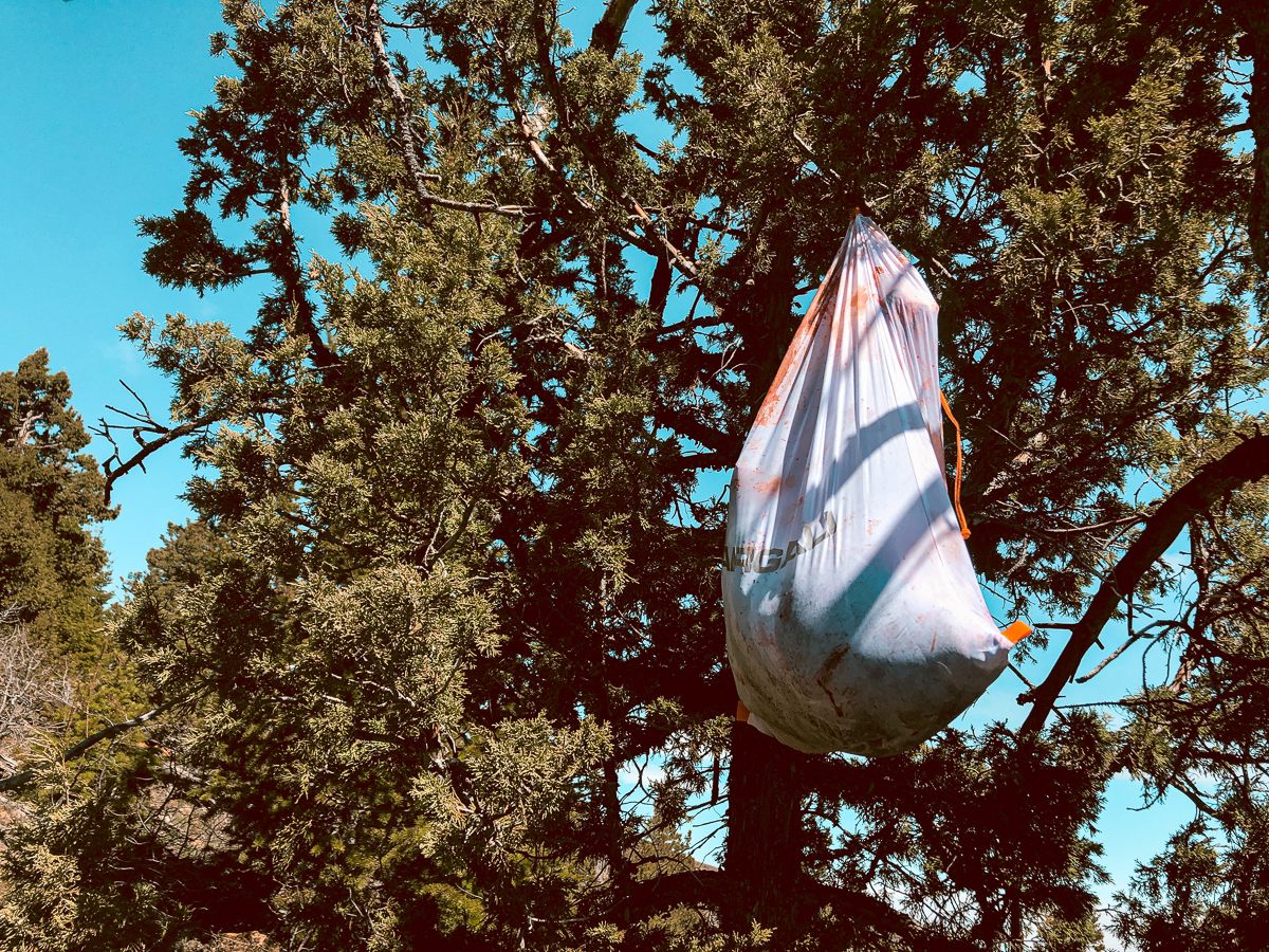 Argali game bag filled with bear meat and hanging in a tree from Jaden Bales's recent spring bear hunt in wyoming