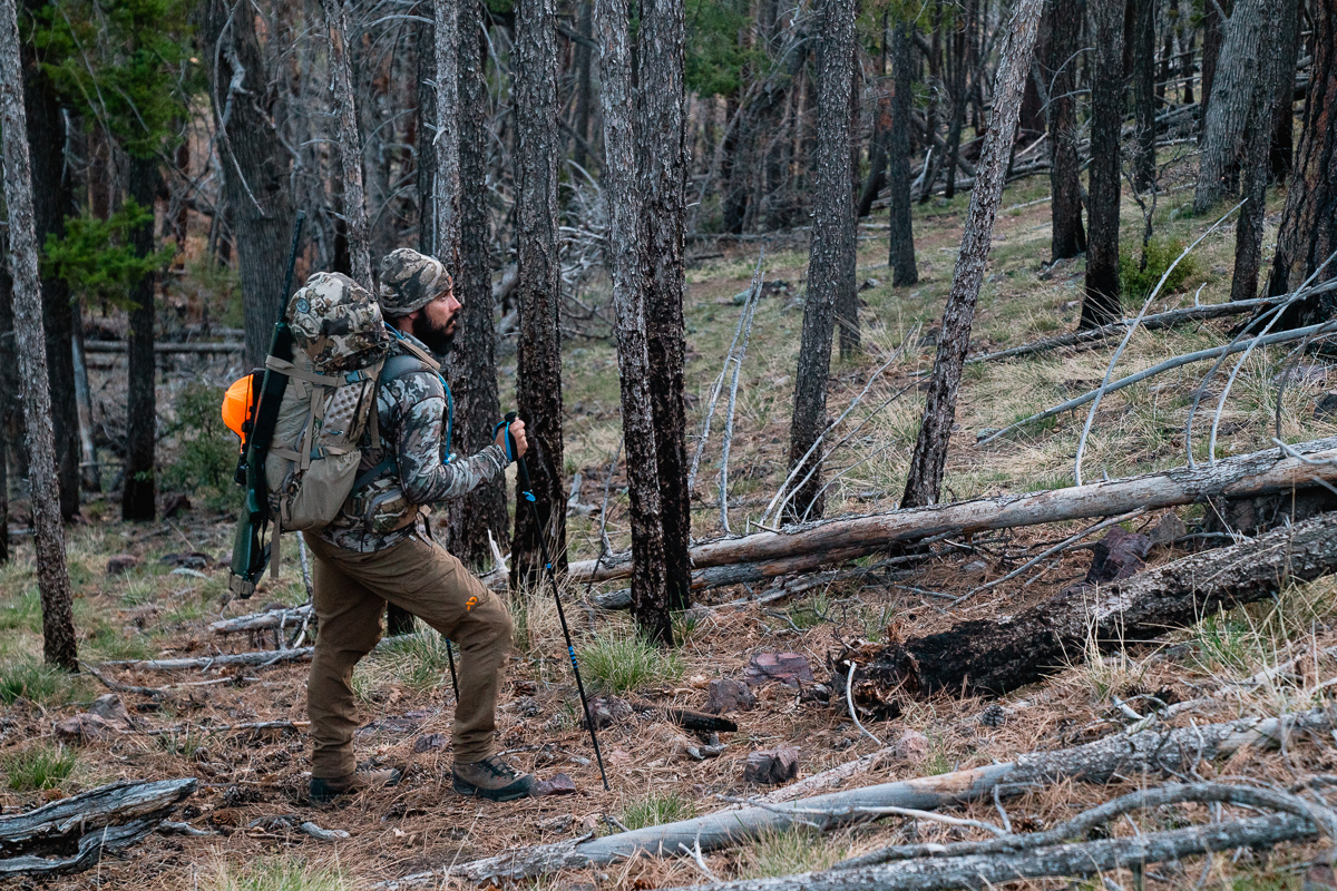 Josh Kirchner from Dialed in Hunter on a spot and stalk spring bear hunt in Arizona