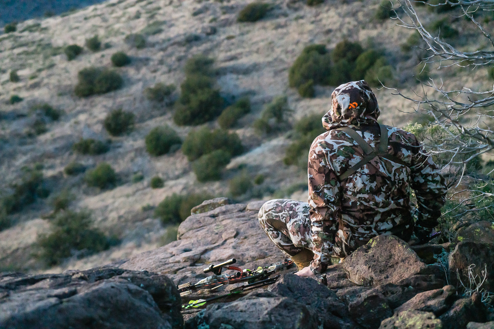 glassing for coues deer